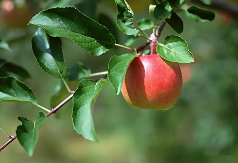 微信图片_20210830104750.jpg 微信图片_20210830104750.jpg