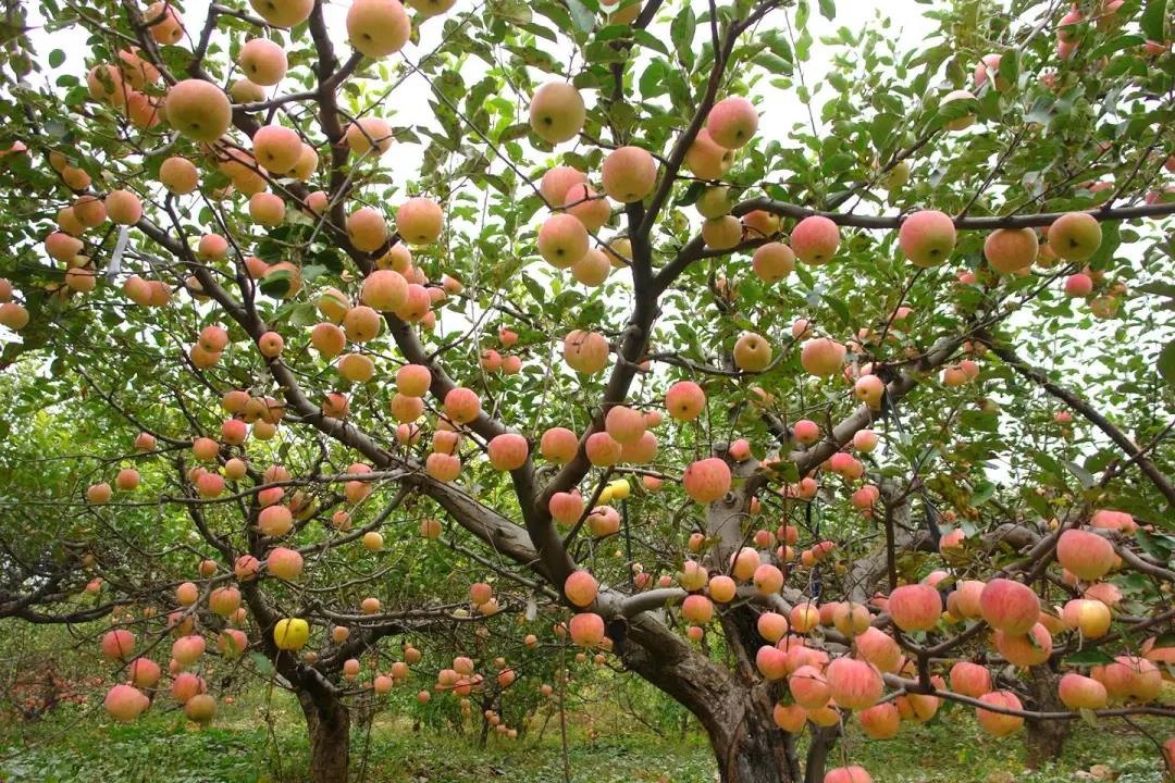 微信图片_20210830110052.jpg 微信图片_20210830110052.jpg