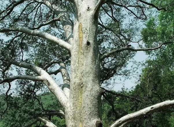 微信图片_202304241012207.png 微信图片_202304241012207.png