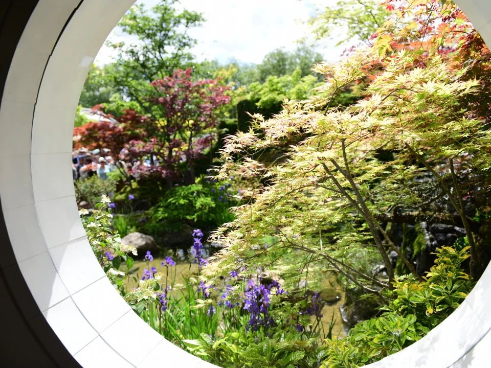 花1.jpg 花1.jpg
