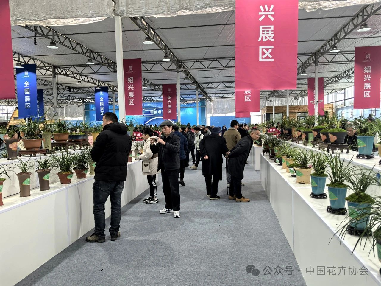 图片3.png 图片3.png