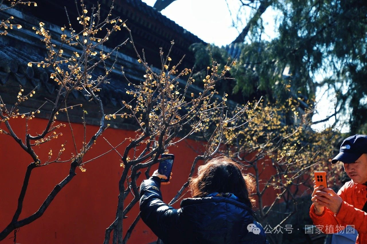 图片2.png