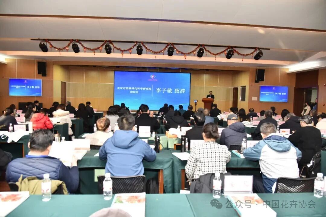 树木1-2-1.jpg 树木1-2-1.jpg